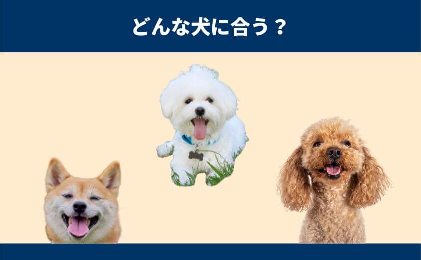 口コミで分析！しつけプラスが合う犬・合わない犬