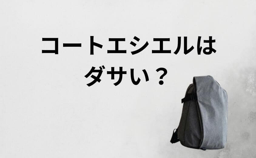 コートエシエルはダサい？奇抜に見えるのは「アート」だから