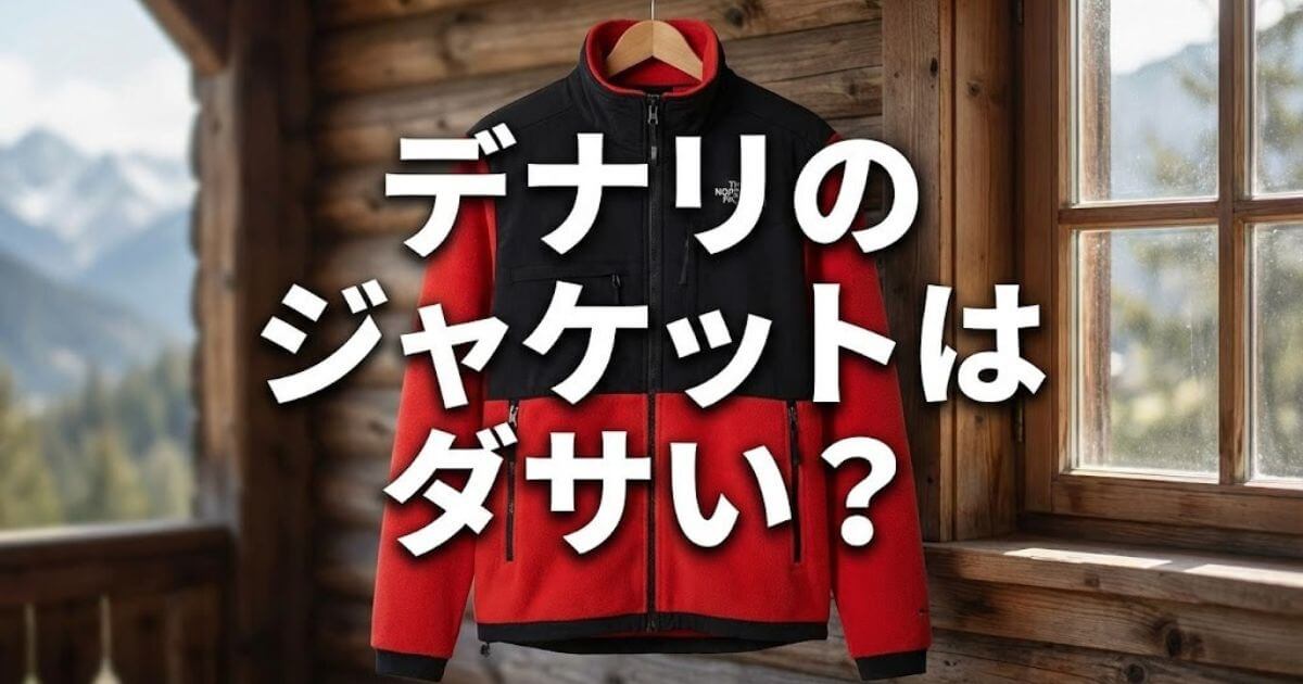 デナリジャケット ダサい