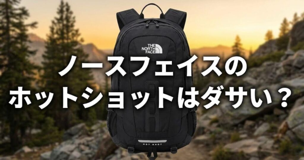 ノースフェイスホットショットダサい