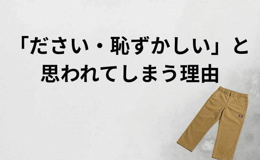 なぜディッキーズは「ださい・恥ずかしい」と思われてしまうことがあるのか