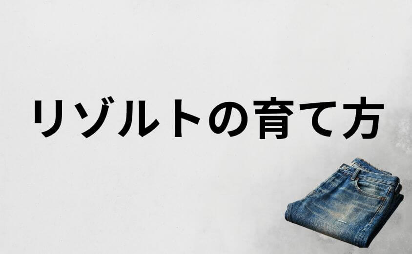 色落ちが安っぽく見えないリゾルトの育て方