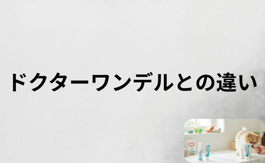 ドクターデンタルワンとドクターワンデルの違い